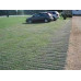 GP Flex Grass Protection Mesh - 1m x 10m x 13mm - 1800g/m2