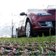 GP Flex Grass Protection Mesh - 1m x 20m x 9mm - 1000g/m2
